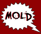 mold